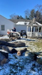 Tree Service in Middlesex,NJ on Grant Ave