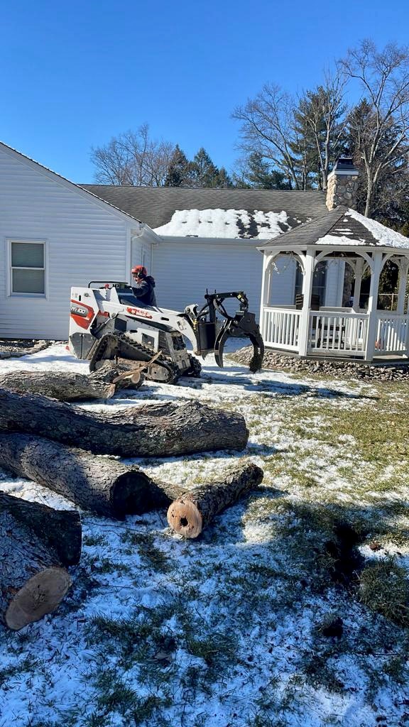 Tree Service in Middlesex,NJ on Grant Ave