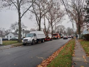 Tree Service in Middlesex,NJ on Second St