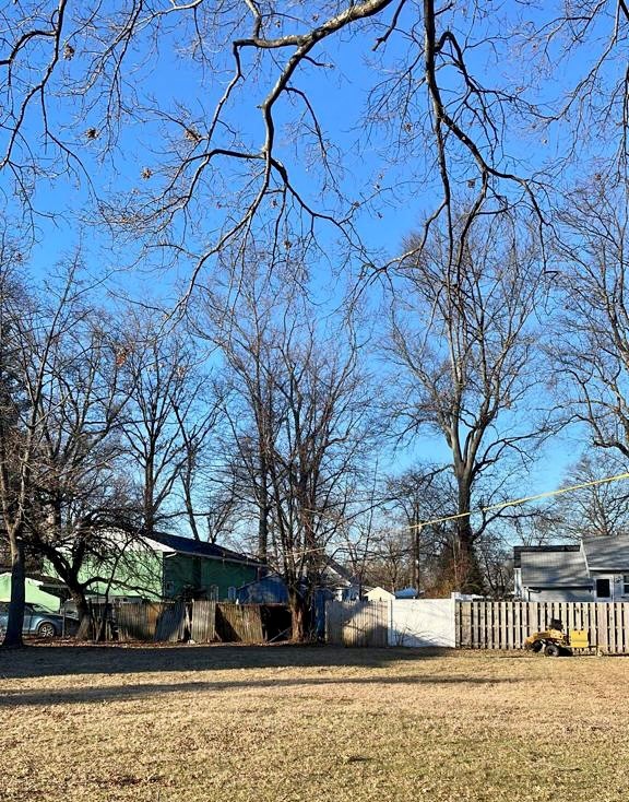 Tree Service in Middlesex,NJ on Woodrow St