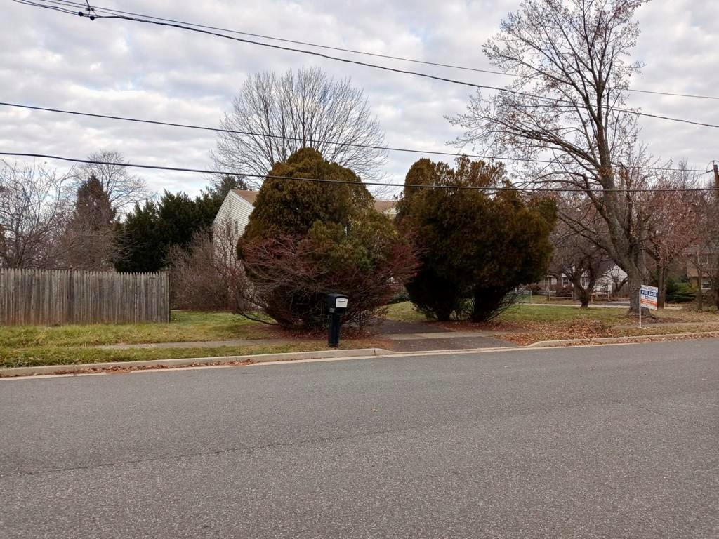 Tree Service in Piscataway,NJ on Hillside Ave