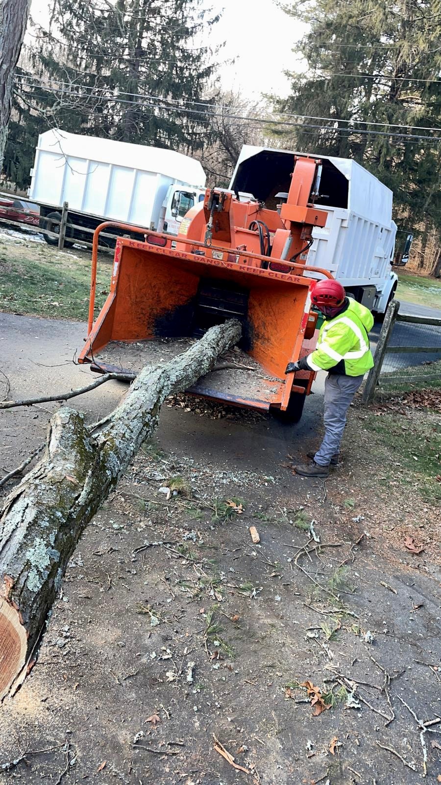 Tree Service in Princeton,NJ on Carson Rd