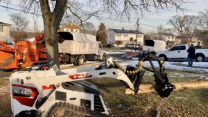 Tree Service in Somerset,NJ on Newkirk Rd