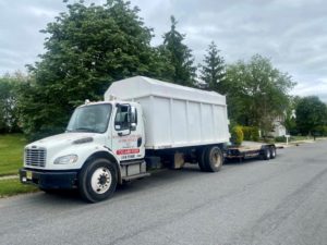 Tree Service in Bridgewater,NJ on Lewis Dr