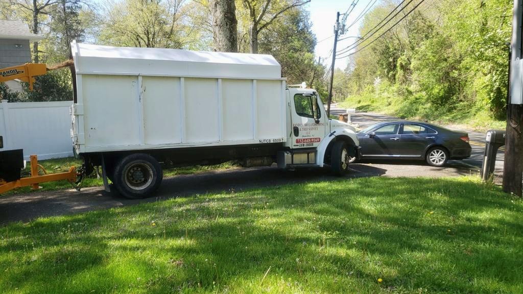 Tree Service Job in Bridgewater