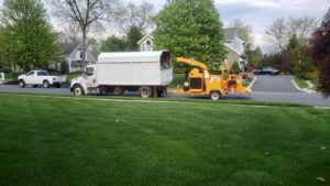 Tree Service in Bridgewater,NJ on Totten Dr