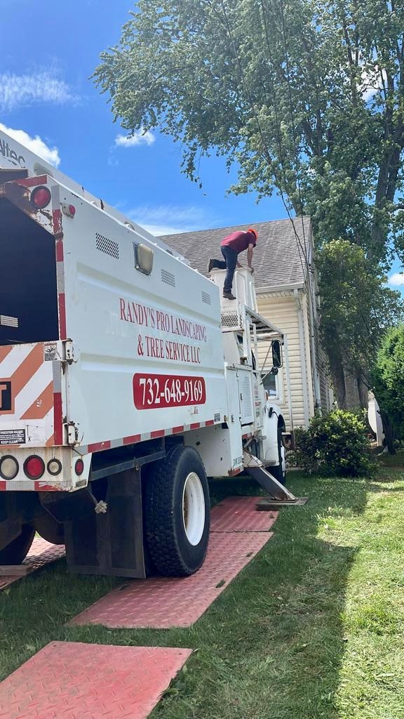 Tree Service in Bridgewater,NJ on Vanderveer Rd