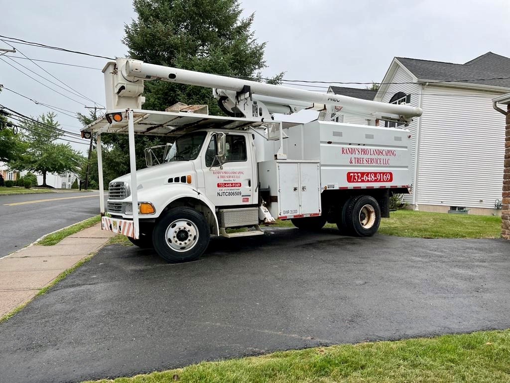 Tree Removal Service in Bridgewater,NJ on Vanderveer Rd