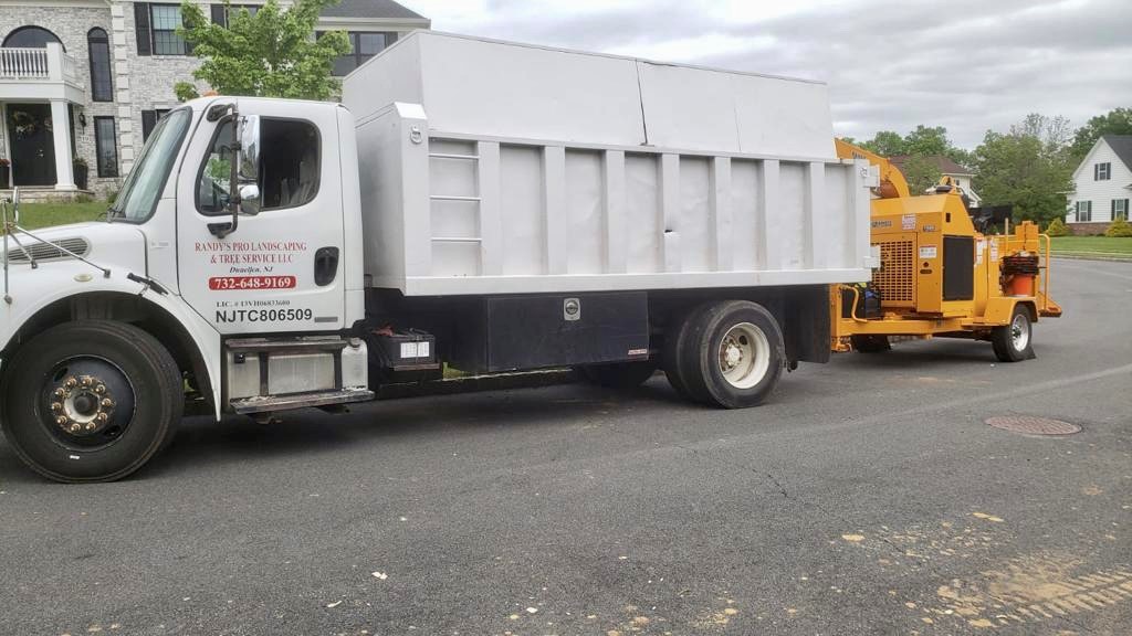 Tree Service in Hillsborough,NJ on Jamieson Way