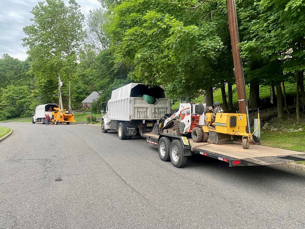 Tree Service Job in Martinville