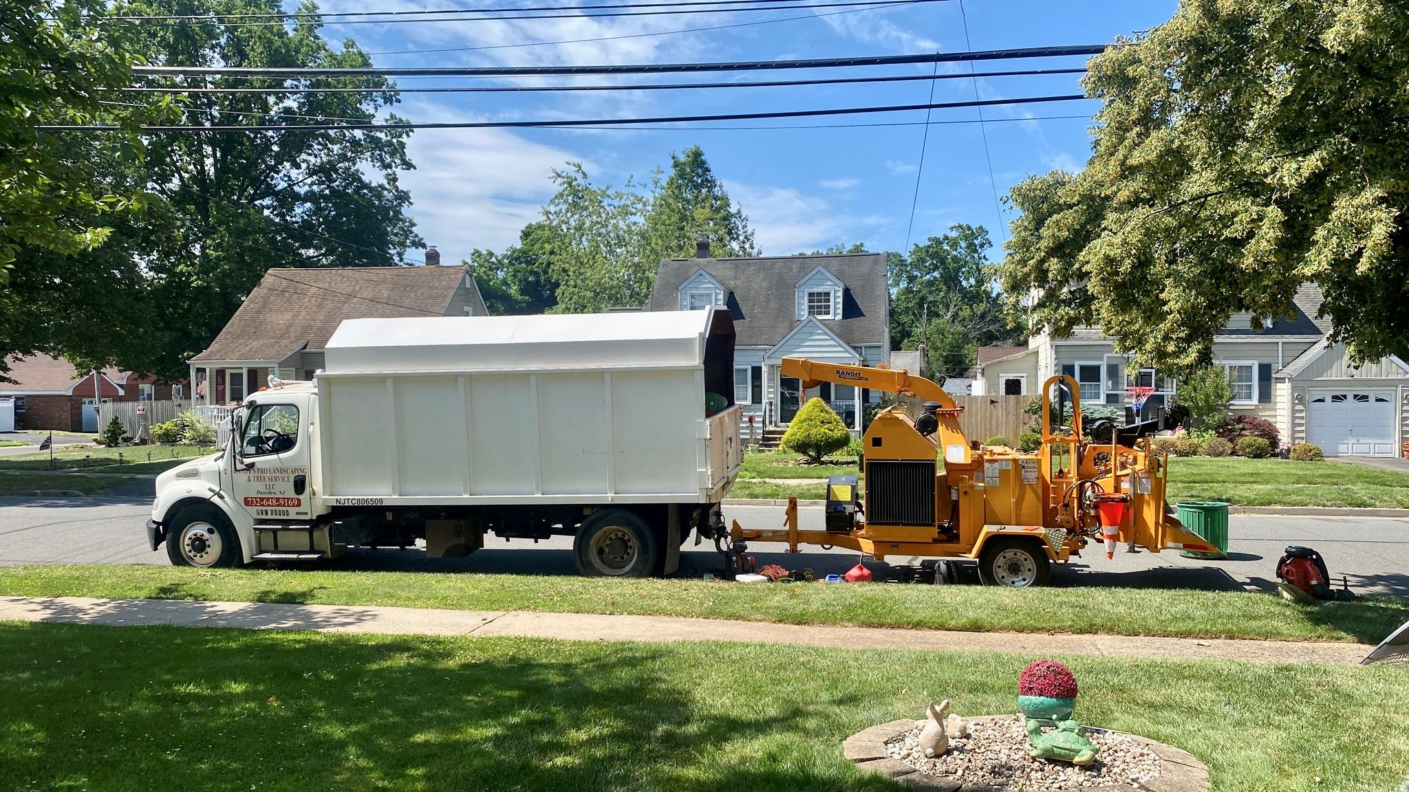 Tree Service Job in Middlesex
