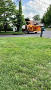 Tree Service in Piscataway,NJ on Sherman Ave