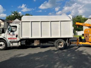 Tree Service in Piscataway,NJ on Redbud Rd