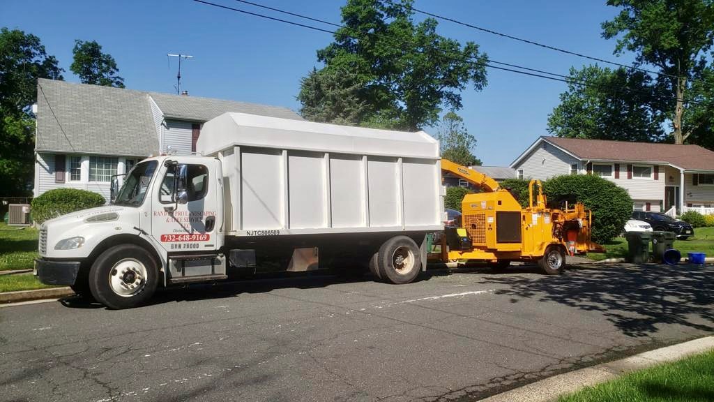 Tree Service Job in Piscataway