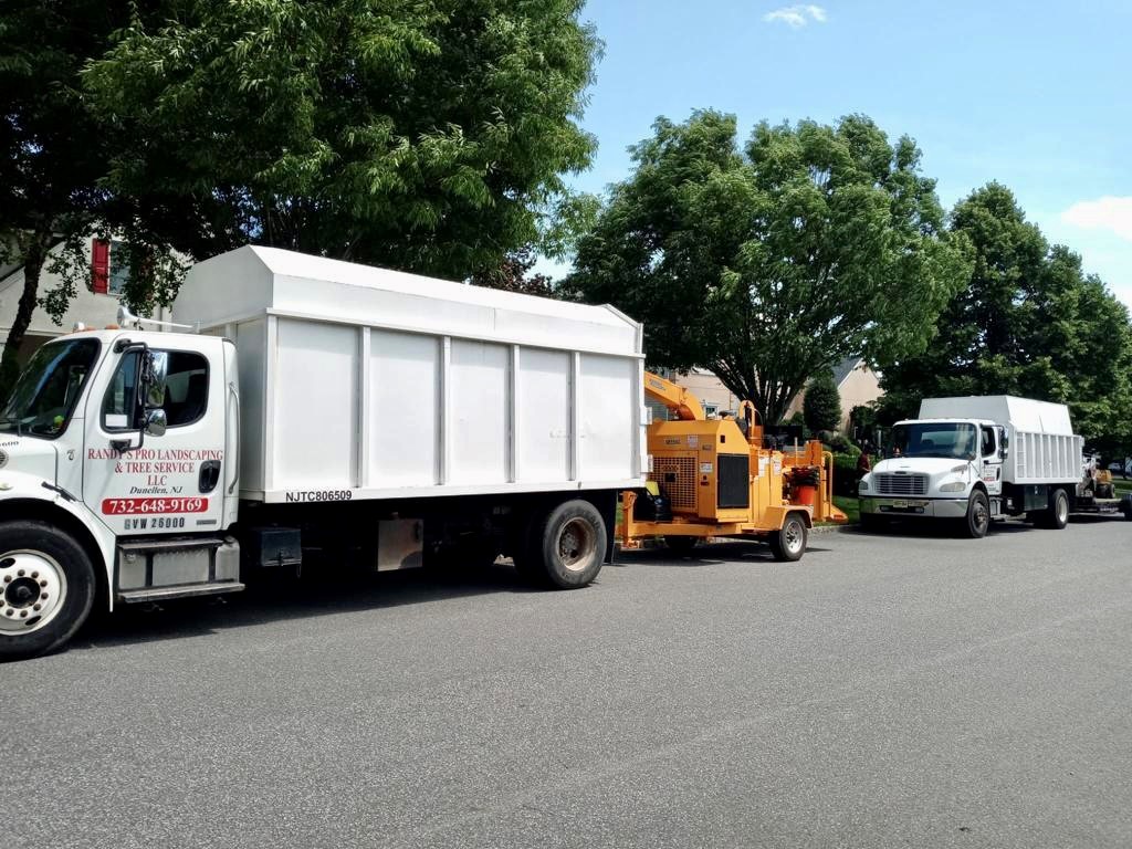 Tree Service in Somerset,NJ on Maher Rd