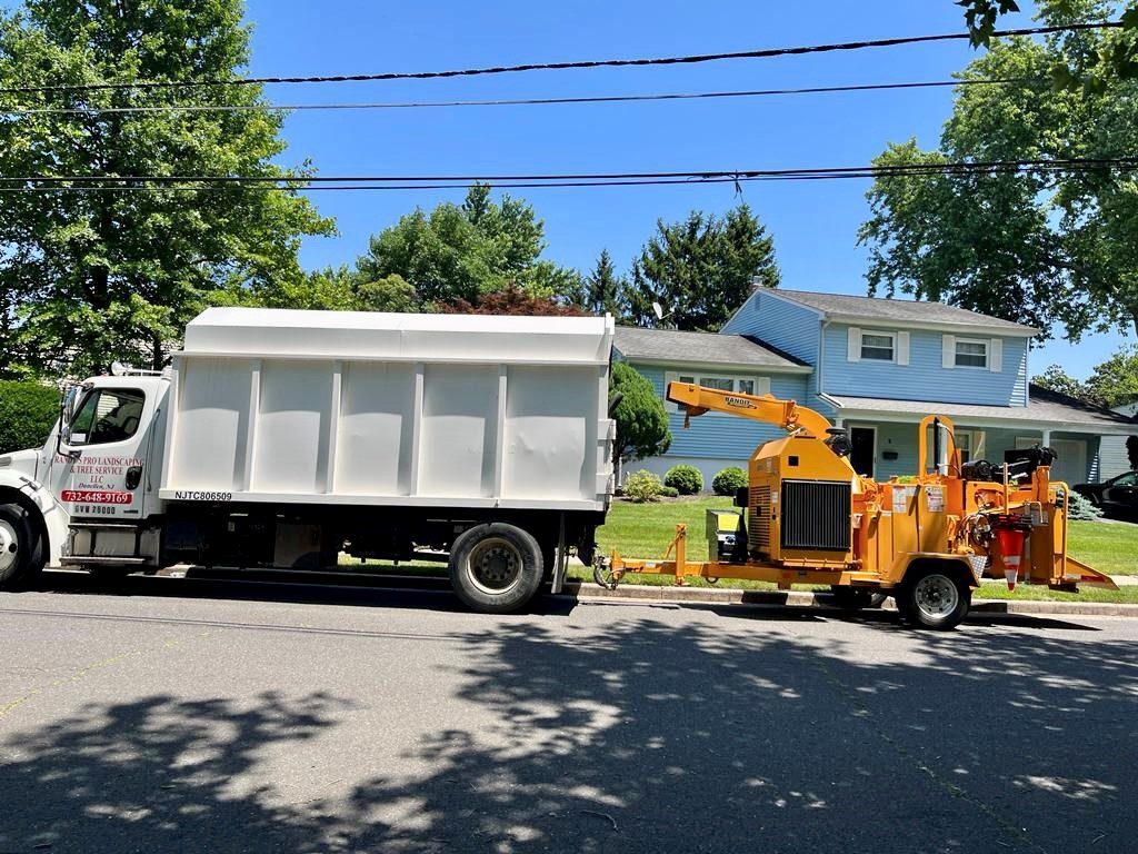 Tree Pruning in Somerset,NJ on Atlantic Rd