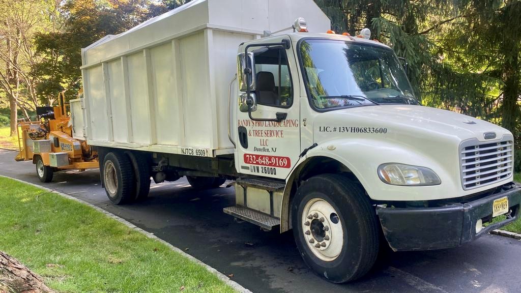 Tree Service in Summit,NJ on Summit Ave