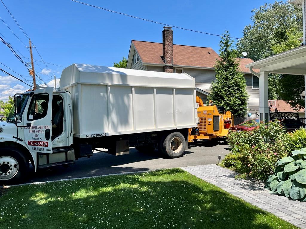 Tree Service Job in Westfield