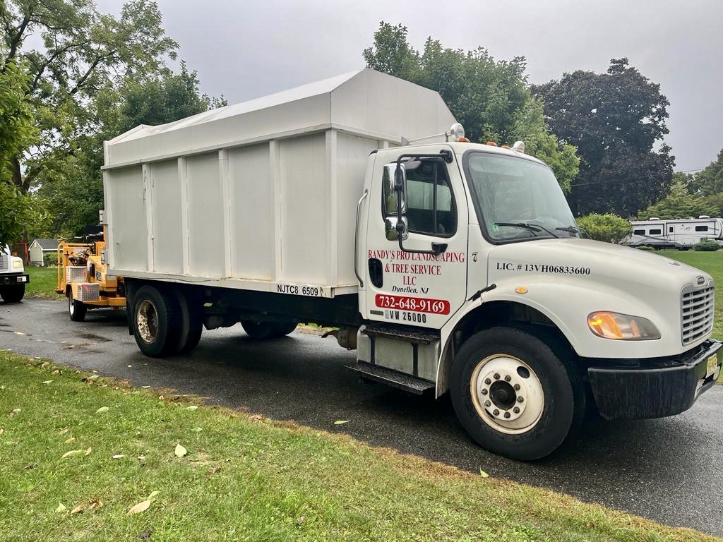 Tree Service Job in Bridgewater