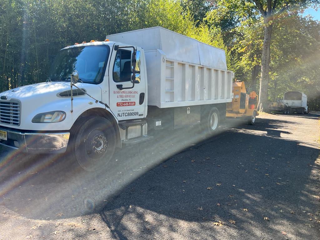 Tree Service Job in Bridgewater