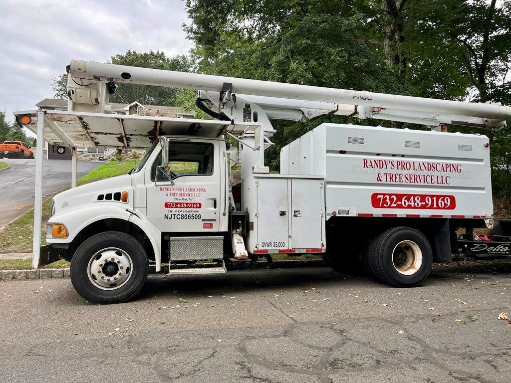 Tree Service in East Brunswick,NJ on Hale Rd