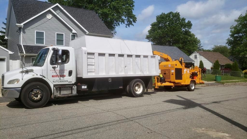 Tree Service in Edison,NJ on Richmond Rd