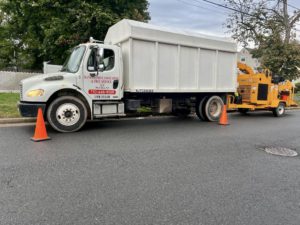 Tree Service in Livingston,NJ on Fieldstone Dr