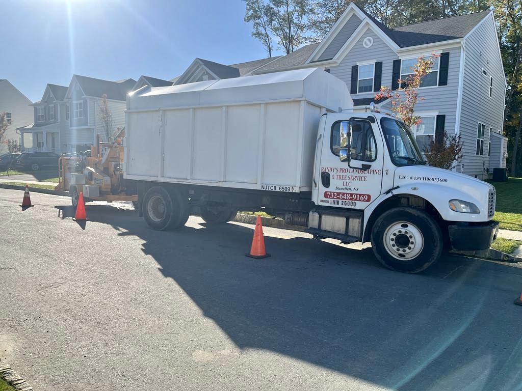 Tree Service in Marlboro,NJ on Tulip Ct