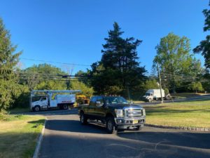 Tree Pruning in Martinsville,NJ on Vosseller Ave