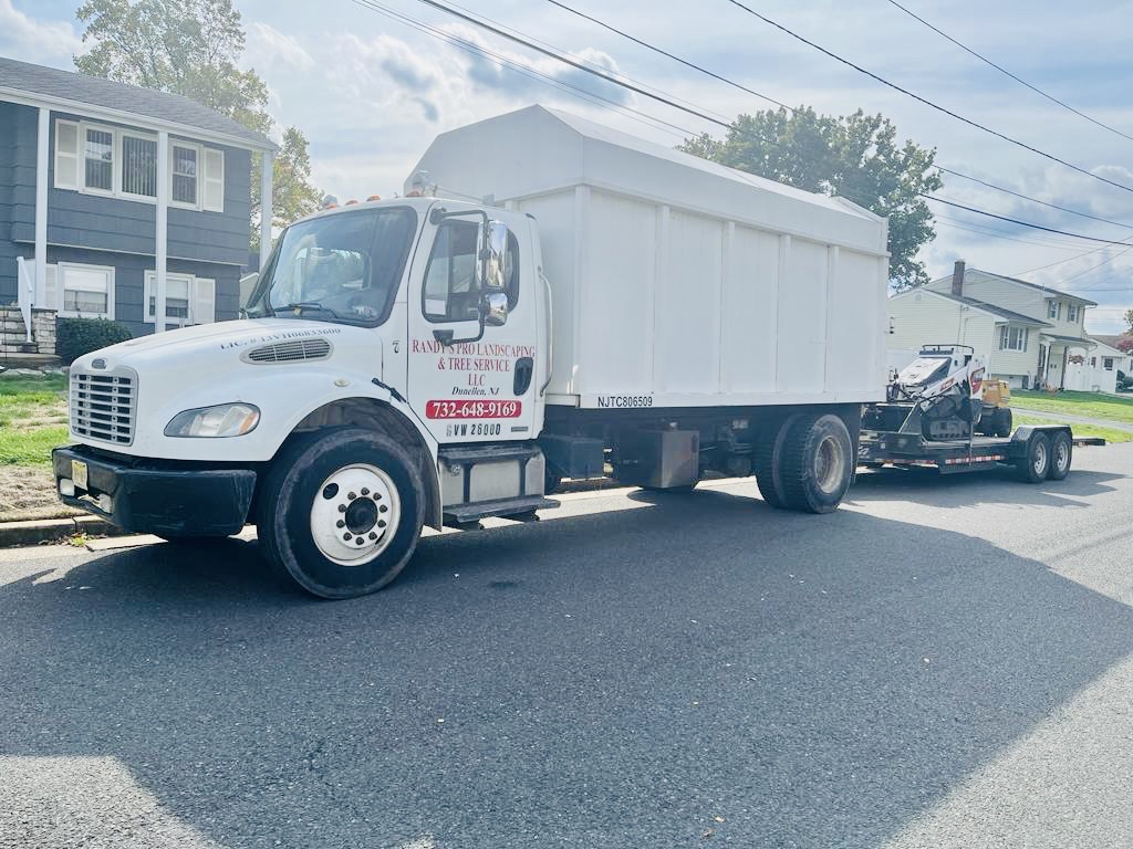 Tree Service Job in Middlesex