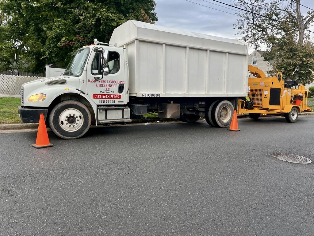 Tree Service in Piscataway,NJ on Lafayette St