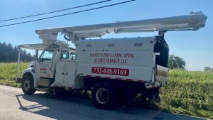 Tree Service in Three Bridges,NJ on Old York Rd