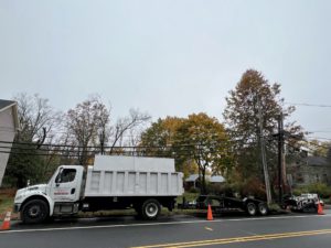 Tree Service in,NJ on NJ-28