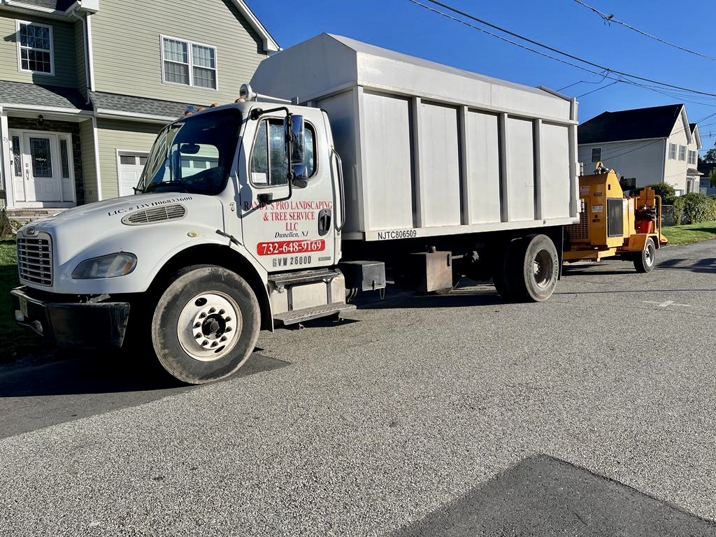 Tree Service Job in Colonia