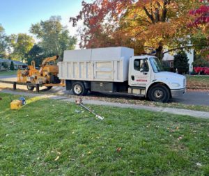 Tree Removal in East Brunswick,NJ on Helena St