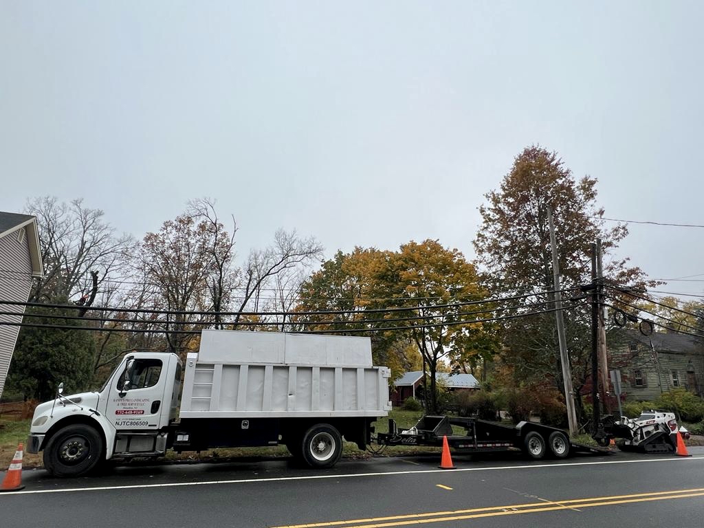 Tree Service Job in
