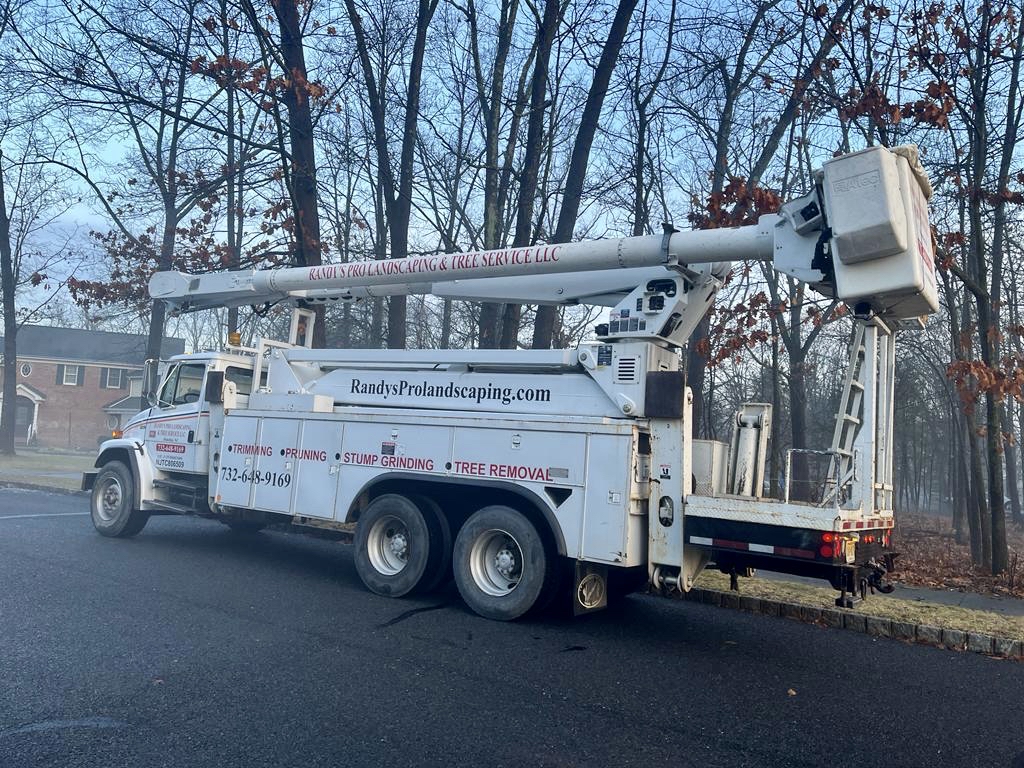 Tree Service in Branchburg,NJ on Forest Ln