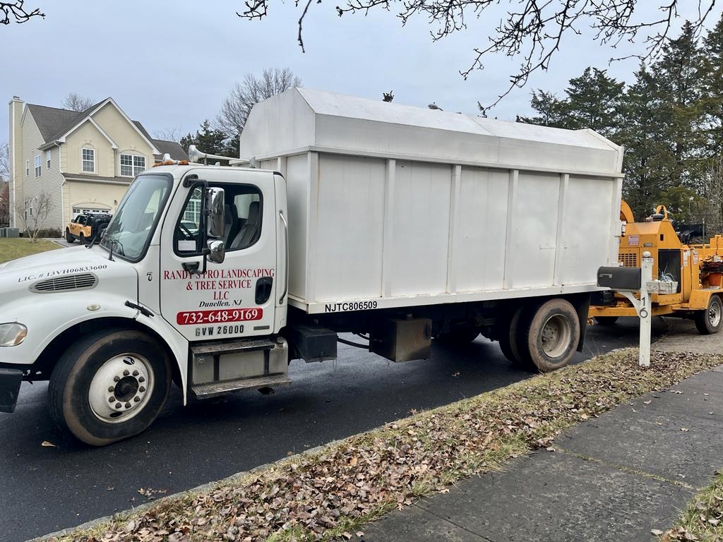Tree Service Job in Bridgewater