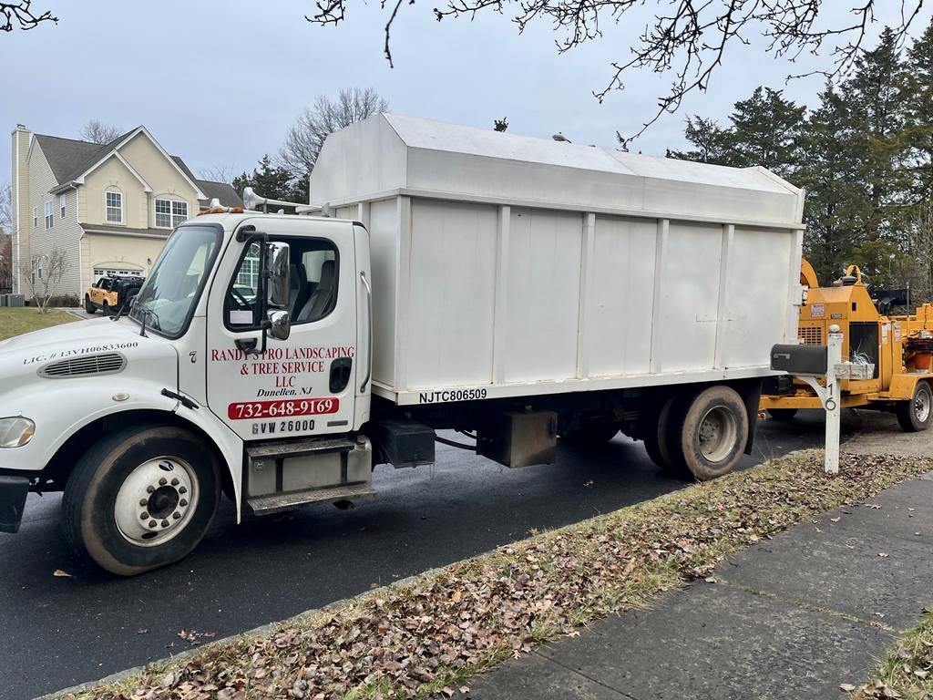 Tree Service in Bridgewater,NJ on Simonson Ln