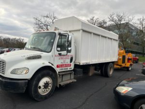 Tree Service Job in Bridgewater