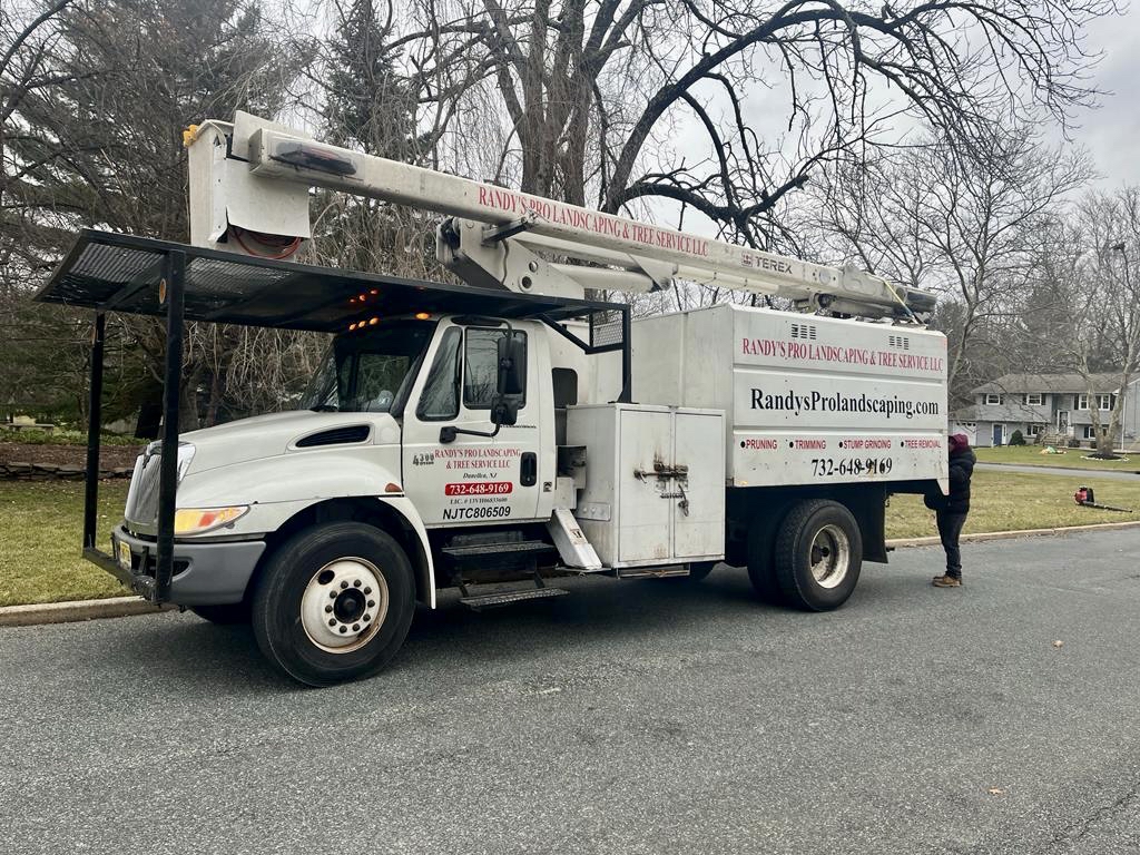 Tree Service in Flemington,NJ on Grandin Dr