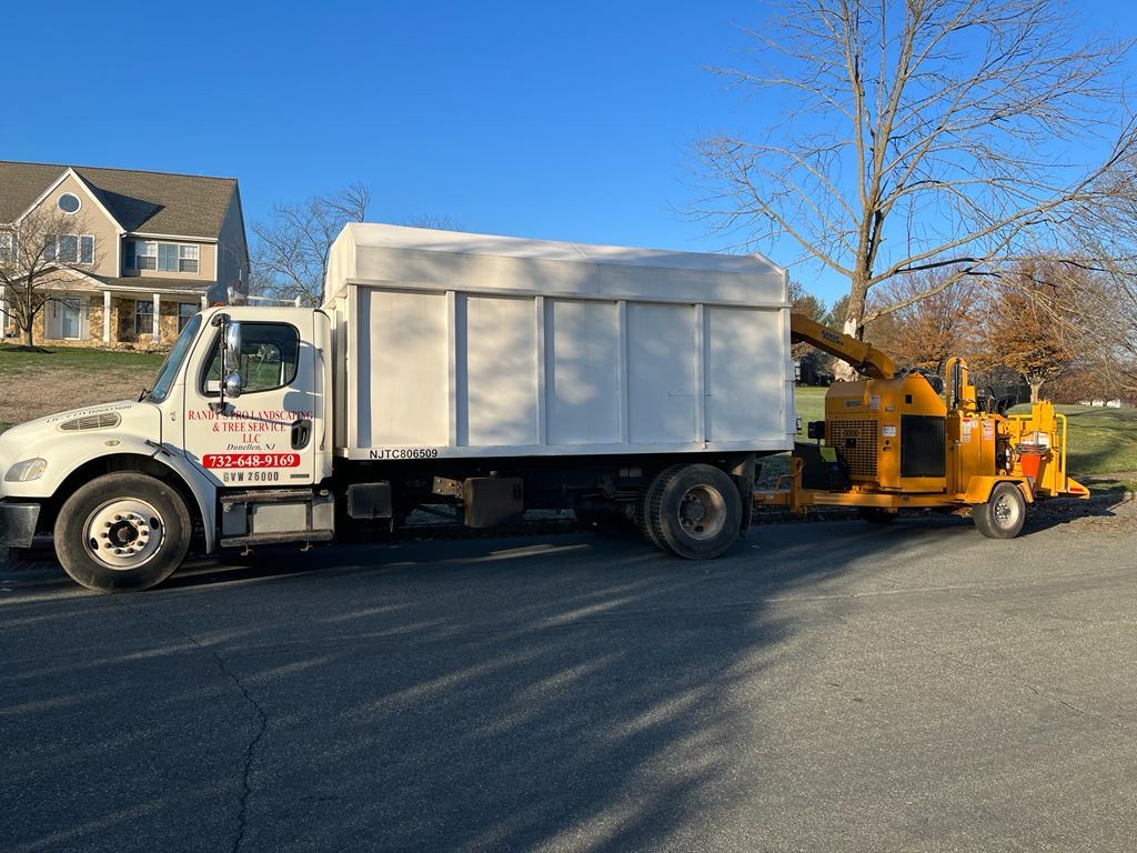 Tree Service in Neshanic Station,NJ on S Horizon Way