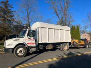 Tree Service in Piscataway,NJ on Sewell Ave