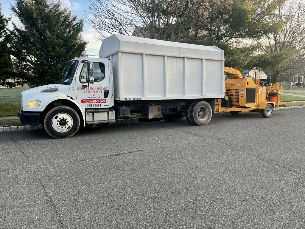 Tree Service Job in Warren