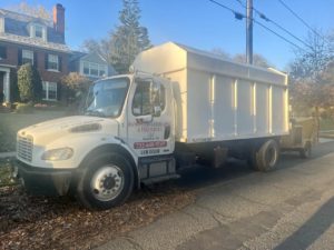 Tree Service in Westfield,NJ on Lincoln Rd