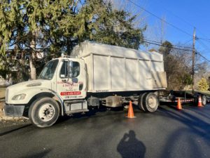 Tree Service Job in Berkeley Heights