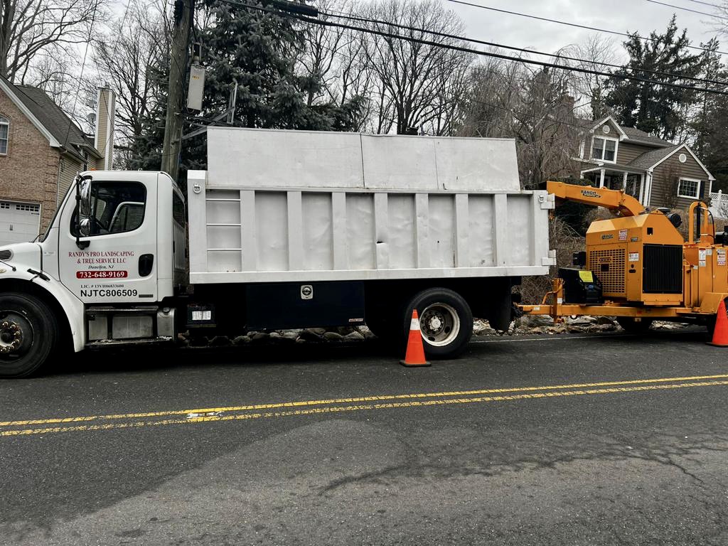 Tree Service in Berkeley Heights,NJ on McMane Ave