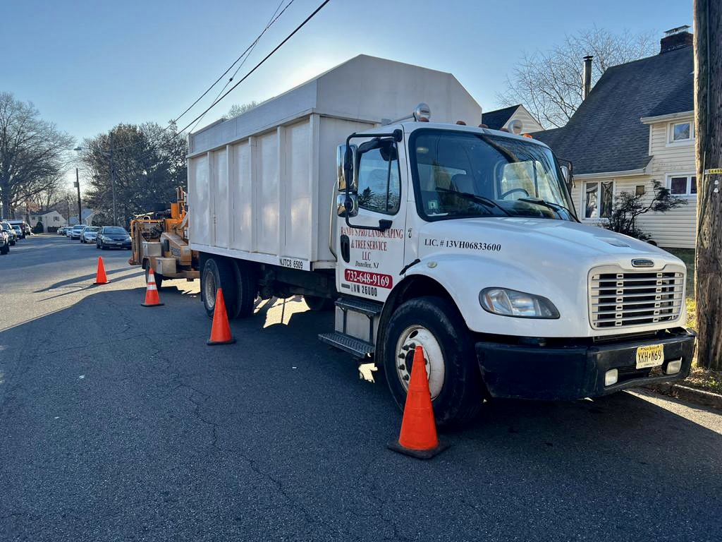 Tree Service in Colonia,NJ on Ridge Rd