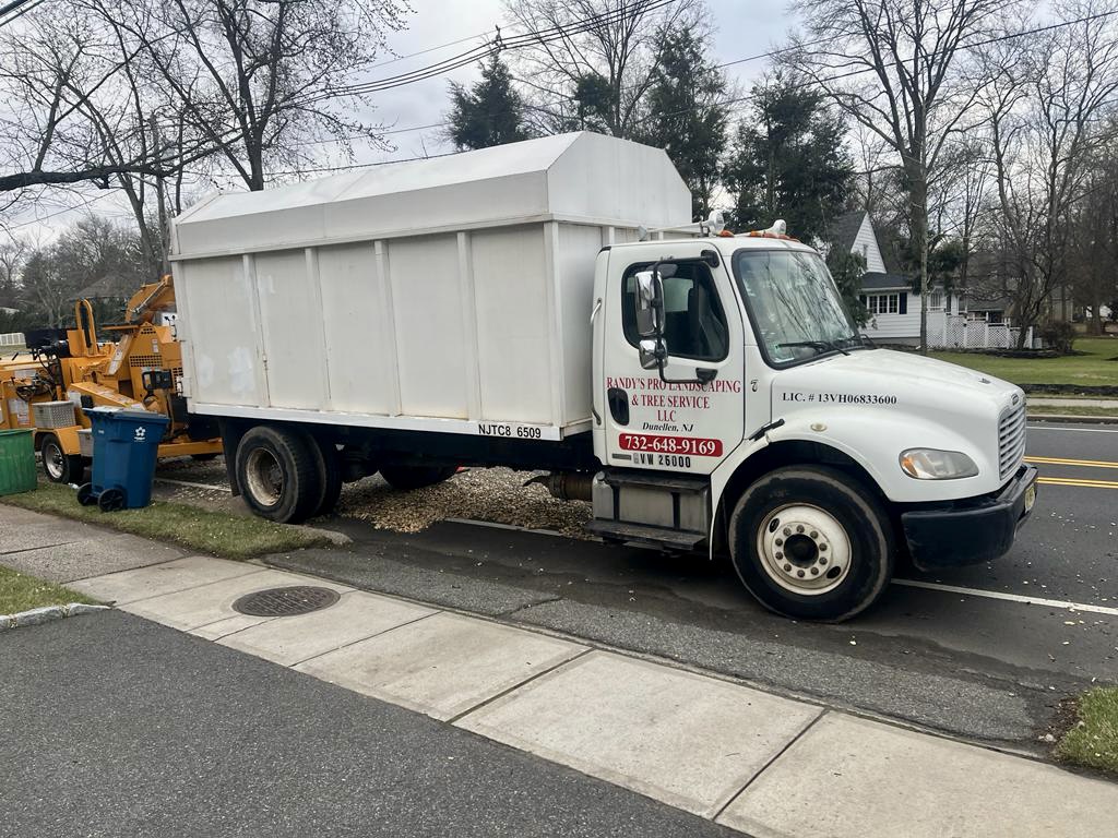 Tree Service in Edison,NJ on Plainfield Rd