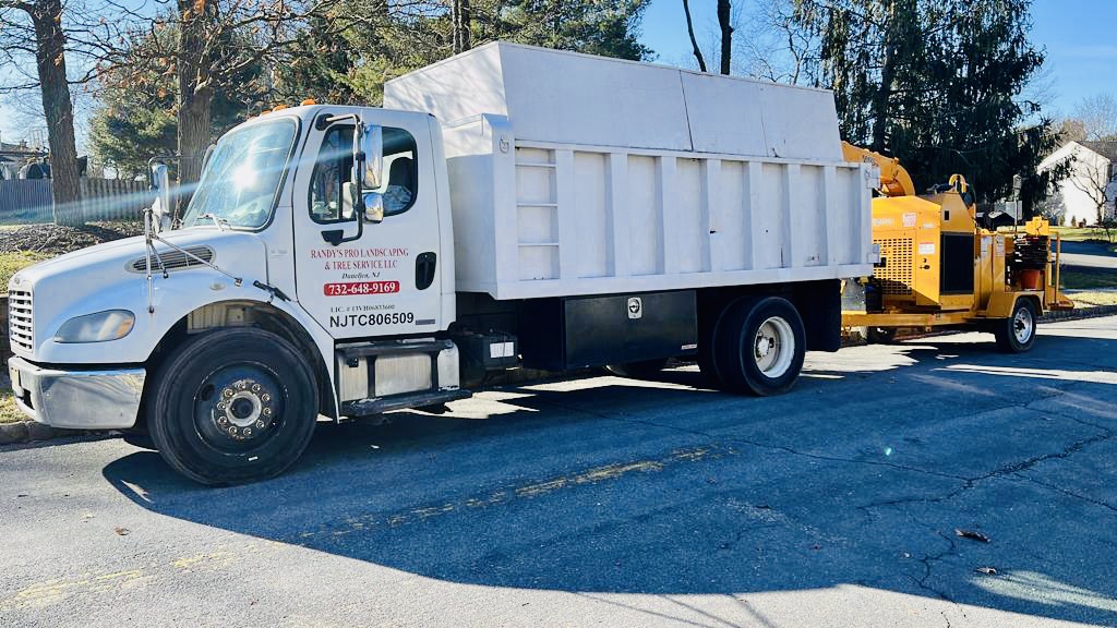 Tree Removal in Flemington,NJ on Redwood Terrace